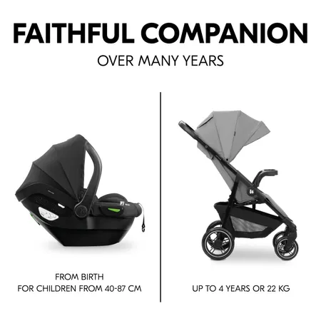 Faithful companions - for many years to come