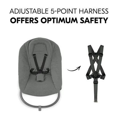 Alpha Bouncer Premium with 5-point harness