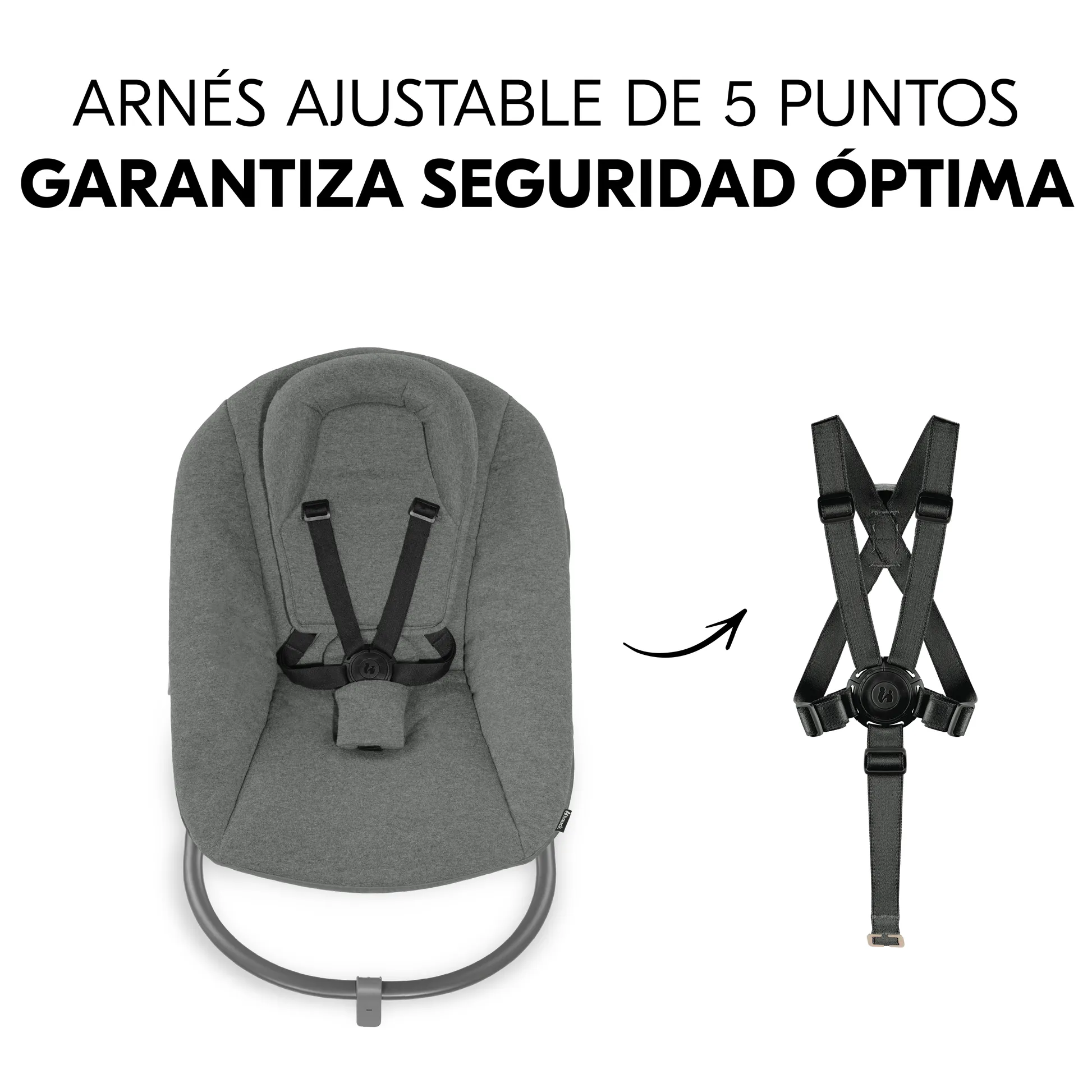 Alpha Bouncer Premium with 5-point harness