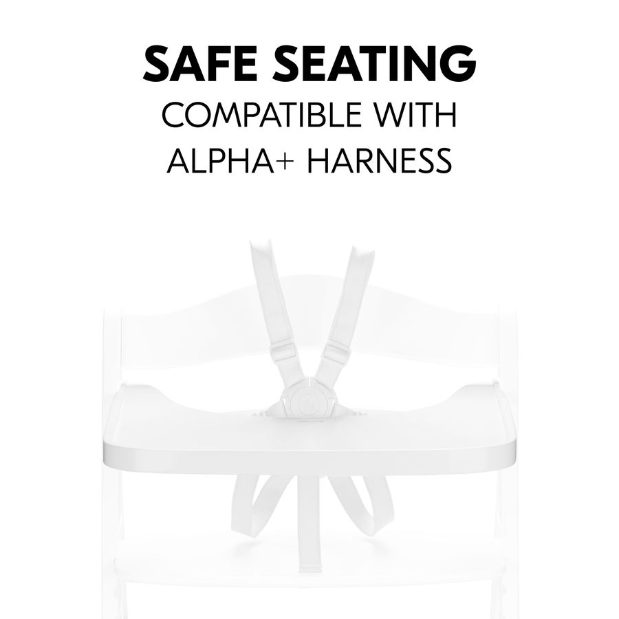 Safe seating in combination with the harness