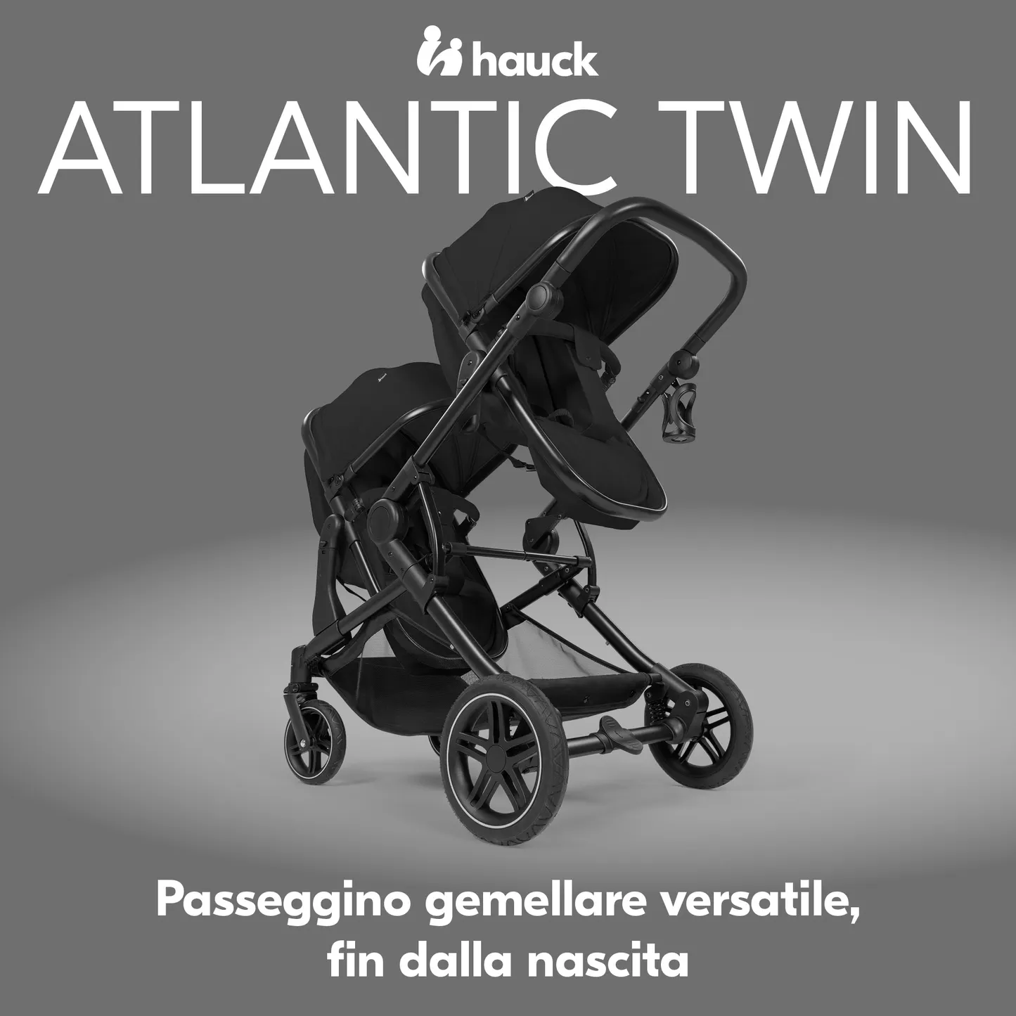 Atlantic Twin